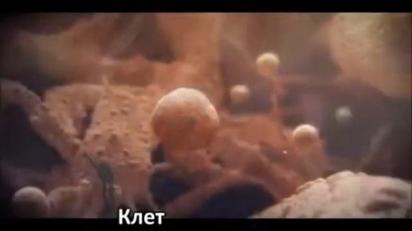 ZombiU (Литерал) Рус