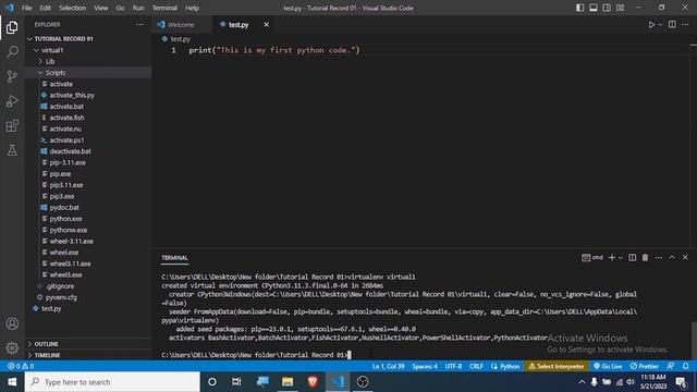 Python Virtual Environments смотреть онлайн