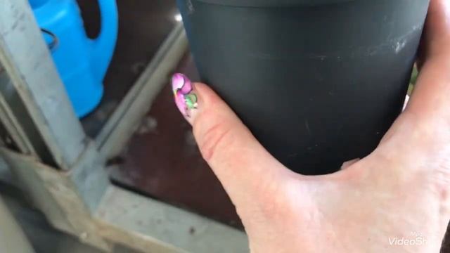 Цветочный магазин! Цветы на любой выбор.Пасхальные Композиции.