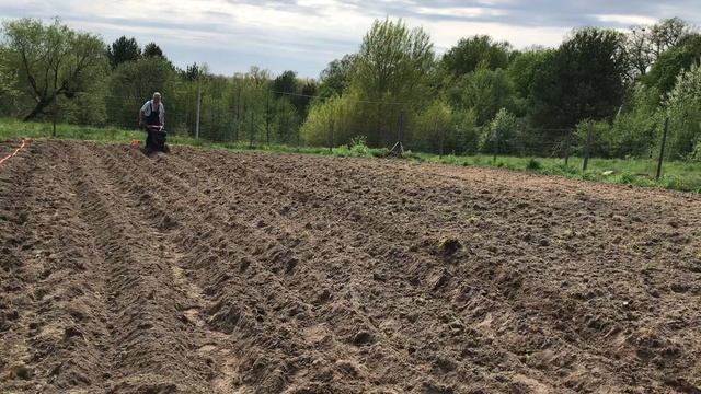 Нашёл способ посадки картофеля с помощью малюсенького мотоблока смотреть онлайн