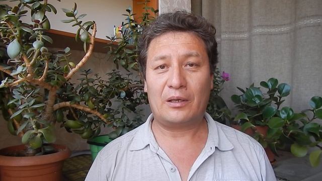 Что такое Друидизм | Понятия и термины смотреть онлайн