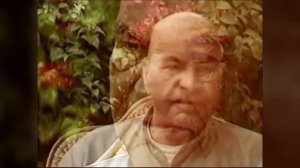 Пападжи / Что такое настоящая свобода.