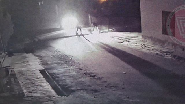 незаконный демонтаж лежачего полицейского смотреть онлайн