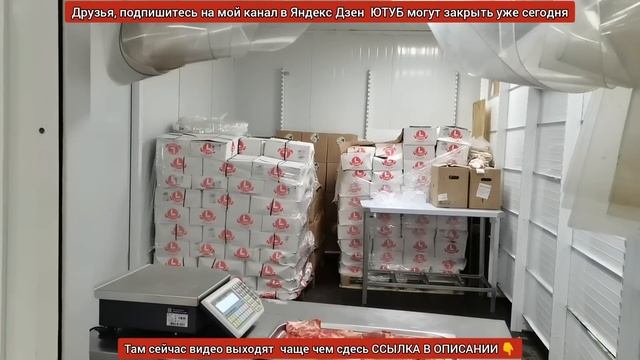 Дождались, холодильник в?"Светофоре"?в прямом смысле забит новинками. Такого давненько не было??? смотреть онлайн