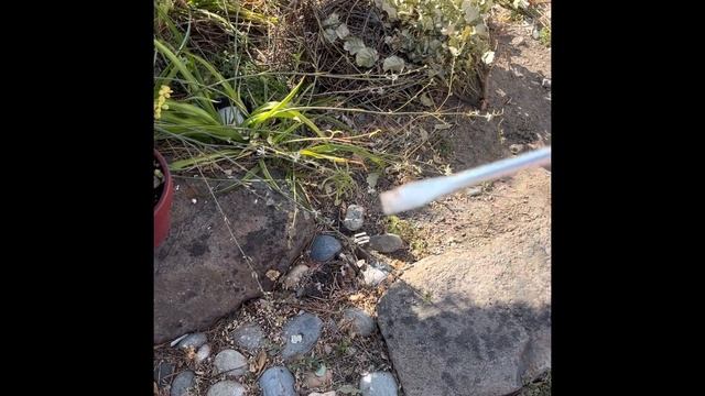 What To Do When Chain Falls Off Pole Saw (Greenworks 40v Polesaw)