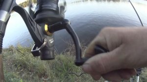 Ловля СУДАКА в Сентябре на донки открытие сезона 2020 . Ловля судака на живца и хвосты