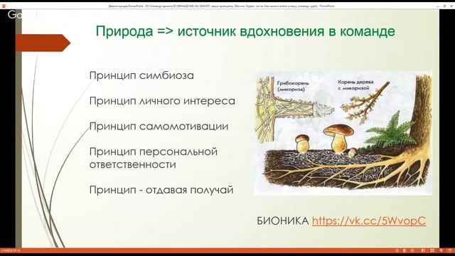 02 Команда проекта ВОЗВРАЩЕНИЕ НА ЗЕМЛЮ, наши принципы, Миссия, Кодекс чести смотреть онлайн