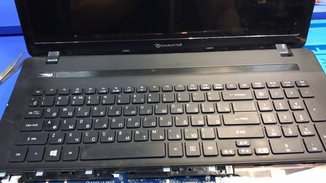 Ремонт ноутбука Packard Bell. Нет изображения. Белый экран с вертикальными полосами. смотреть онлайн