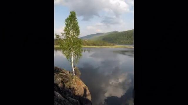 Певец Славич Мороз! Цыганская любовь. смотреть онлайн