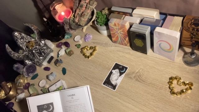 ✨Daily Advice From Spirit✨ Animal Spirit Oracle ?Oneness Of The Camel Spirit? смотреть онлайн