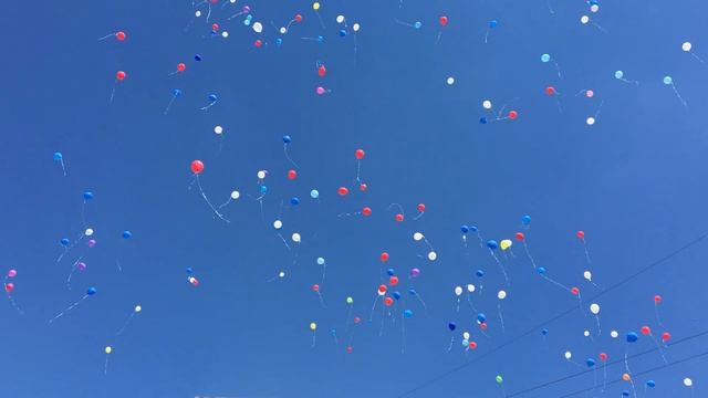 Последний звонок в белгородской гимназии №3 смотреть онлайн