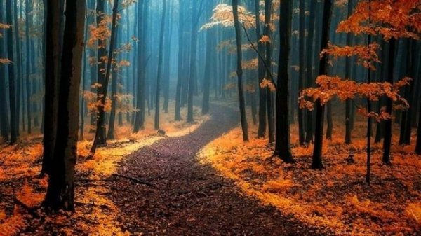 No.8 Requiem | Esther Abrami