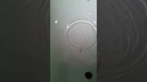 блесна планер 50