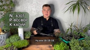 Бейби лист. Многократный срез. #микрозелень