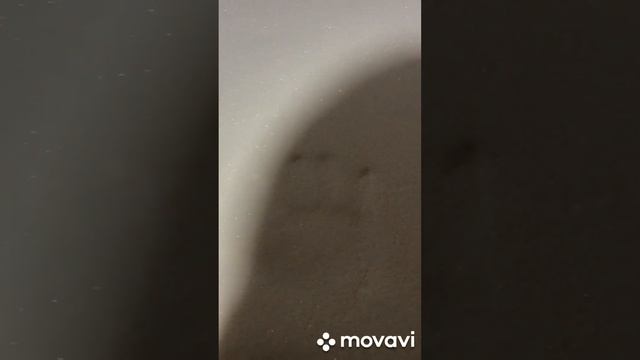 160 на 200,2 термовойлока,кокосовая койра и память,ткань бамбук,получился супер матрас ???? смотреть онлайн