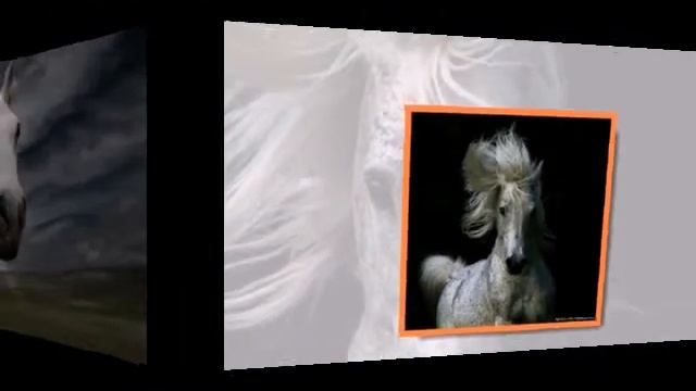 ГОД ЛОШАДИ 2014 смотреть онлайн