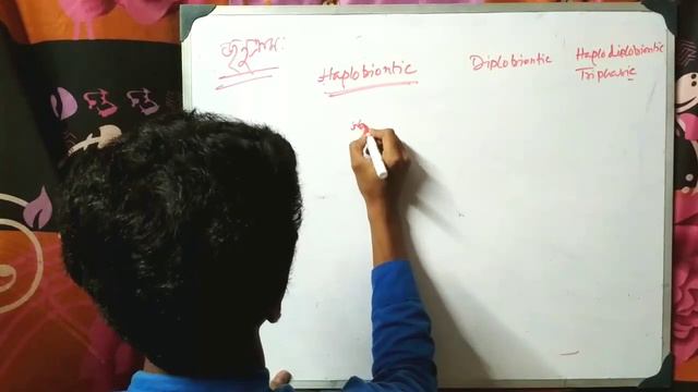 সংযুক্তি, অ্যাপোমিক্সিস, অ্যাপোগ্যামি, অ্যাপোস্পোরি||conjugation, apomixis, apogamy, apospory смотреть онлайн