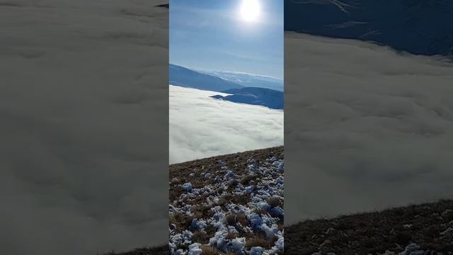 красота природы смотреть онлайн