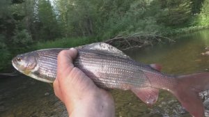 6 день Рыбалка 2023  Иван Сухой