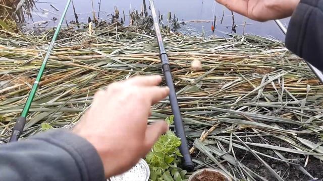 ? ПЕРЛОВКА в МАНКЕ на КАРАСЯ - насадка, которая спасает от мелкой надоедливой рыбы и раков смотреть онлайн