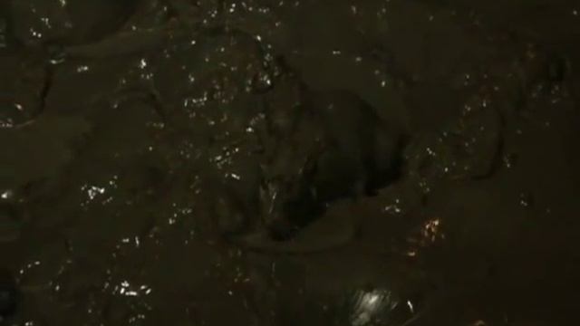 1 Рейтинг Баженова . Могло быть хуже ЕЩЁ Жесткий наезд . смотреть онлайн