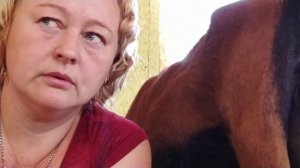 Утренняя дойка коз//Мясистое вымя это проблема?