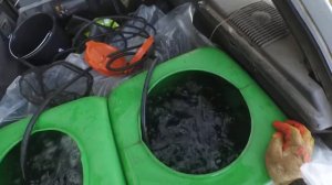 вылов форели из пруда и перевозка на новое место