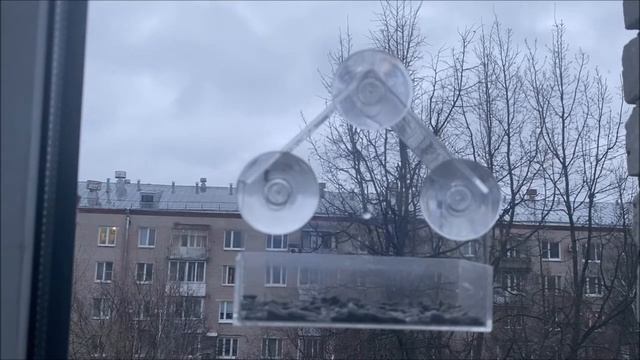 Синицы в подвесной кормушке на окне смотреть онлайн