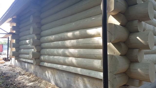 Деревянная баня Дикий сруб смотреть онлайн