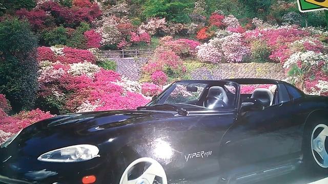 МОИ СТИХИ. В ОТПУСК. смотреть онлайн