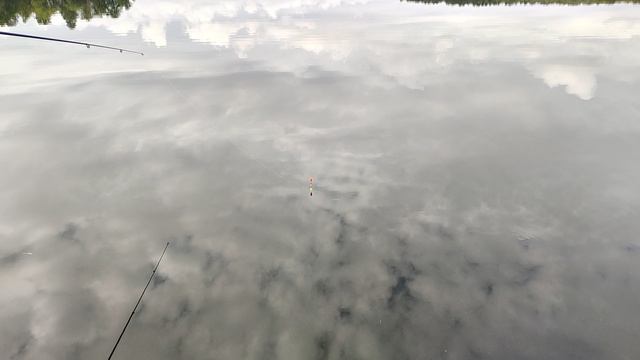 Утро, красота озера Еловое. Небо отражается в воде. смотреть онлайн