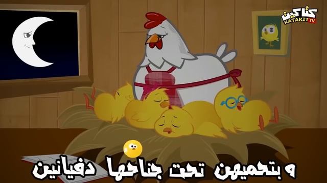 هالصيصان شو حلوين - 3 ساعات