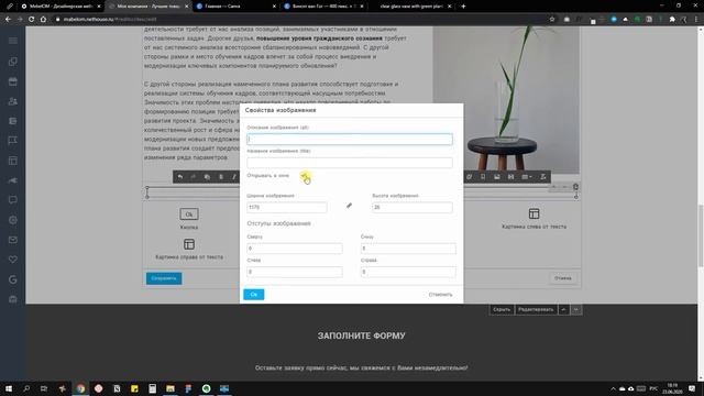 Практикум по созданию интернет-магазина на Nethouse смотреть онлайн