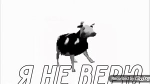 ПОЛЬСКАЯ КОРОВА НА РУССКОМ!