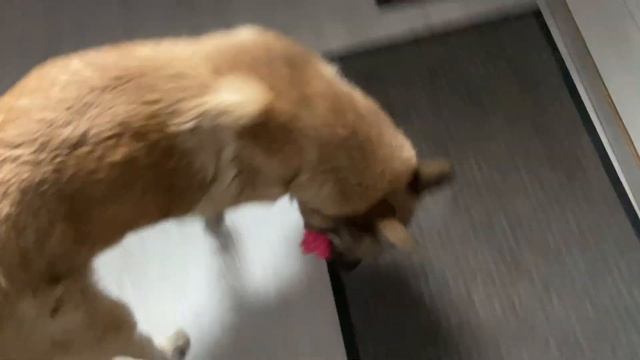 РАСПАКОВКА | Подходящий РАЗМЕРЧИК, сказал МЫР смотреть онлайн