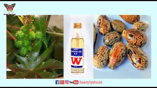 চুল পড়া রোধ করতে এবং নতুন চুল গজাতে পেঁয়াজের রস | Onion Juice for Hair Regrowth | Beauty Tips House смотреть онлайн