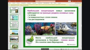 8 класс тема «Биосфера», учитель Веригина И.И.