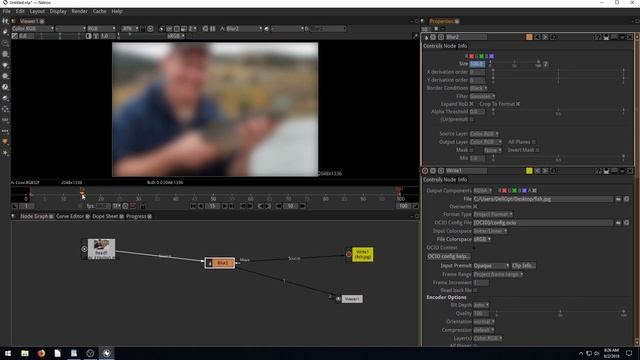 Natron Lesson 5 - Filter Nodes and Exporting a Single Image смотреть онлайн
