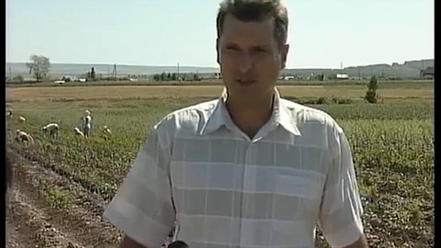 Роман Исаев о наших саженцах смотреть онлайн