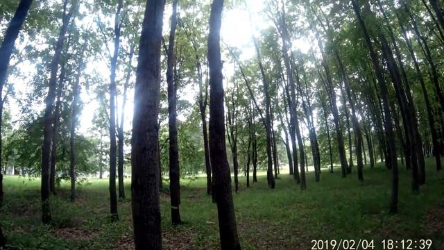 интересное место парк победы есть на что посмотреть очень интересно смотреть онлайн