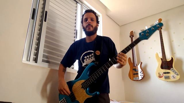 DON´T GIVE HATE A CHANCE - Bass Cover (Modulus) #CoronaVideos смотреть онлайн