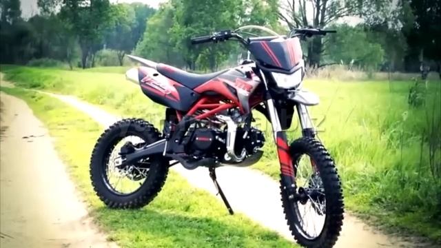 Irbis ttr 125 или Alfa 110 или Delta Что выбрать ??? смотреть онлайн
