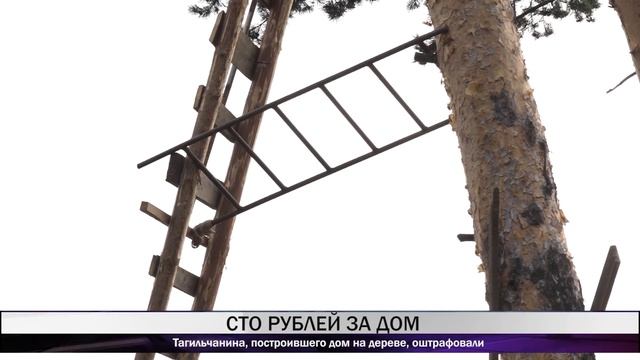 Тагильчанина, построившего дом на дереве, оштрафовали смотреть онлайн