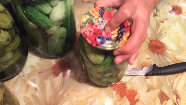 Фотография Портретов