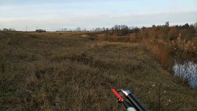 ОСЕННЯЯ РЫБАЛКА В ДЕРЕВНЕ(голавль,ротан) смотреть онлайн