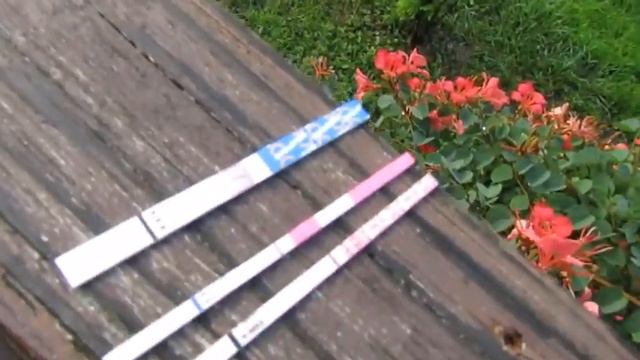 Taking my 10 DPO Live Pregnancy Test. смотреть онлайн