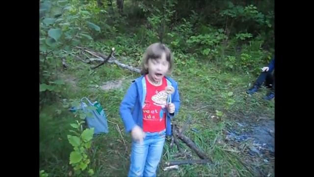 Серово 15 -16 08 2015 Поход выходного дня. смотреть онлайн