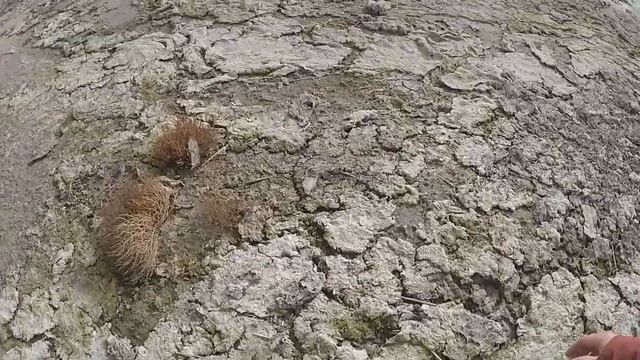 На охоту в первый раз как это было 2019 смотреть онлайн