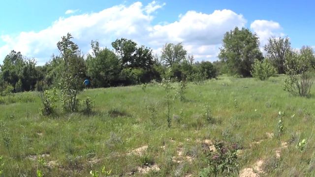 VLOG: Всем на пикник смотреть онлайн