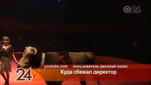 Жители Лениногорска думают, как спасти цирковых животных от холода и голод смотреть онлайн